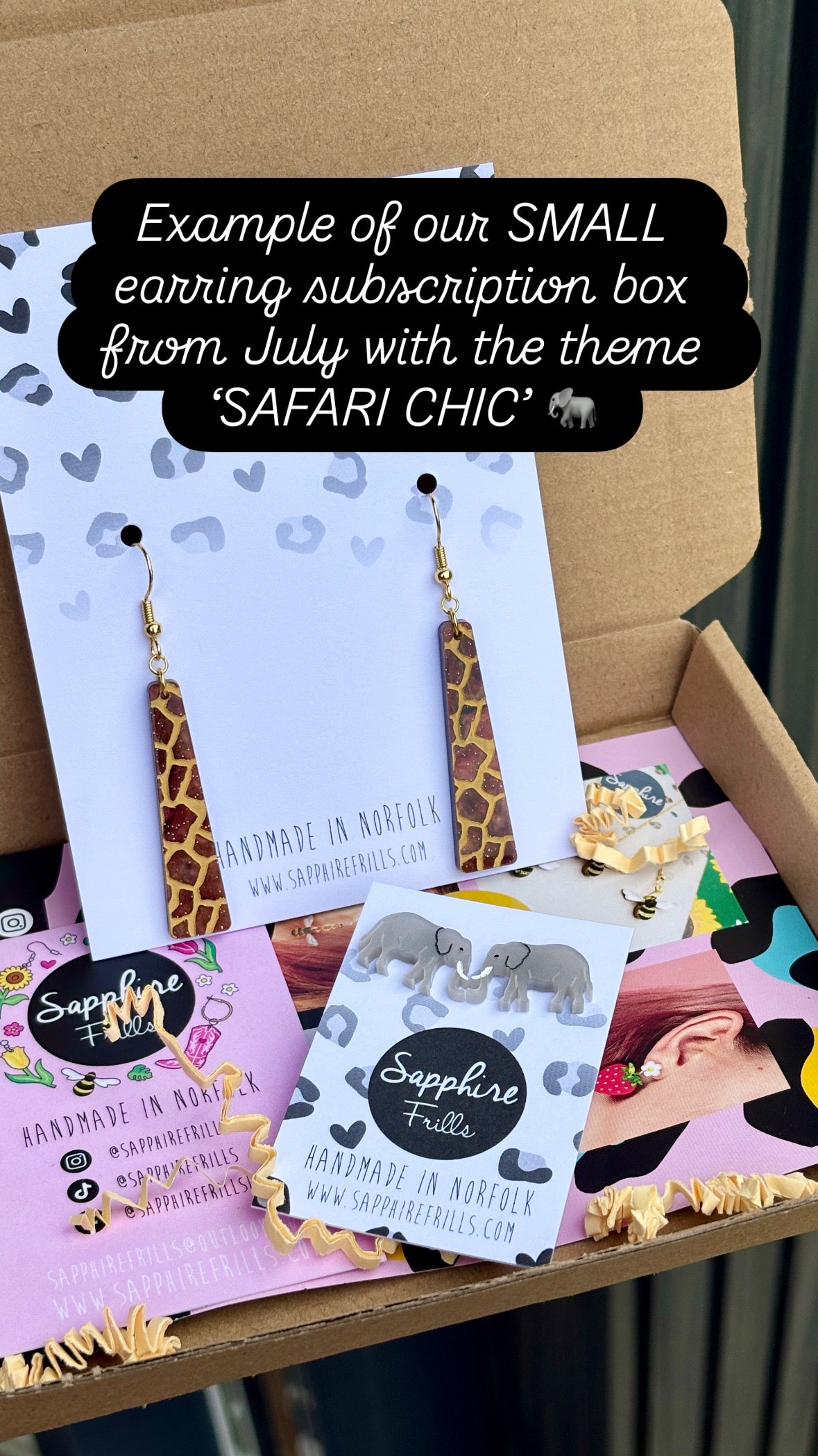 Quarterly Acrylic Earring Subscription Box – Cottagecore Picnic (July 2026)