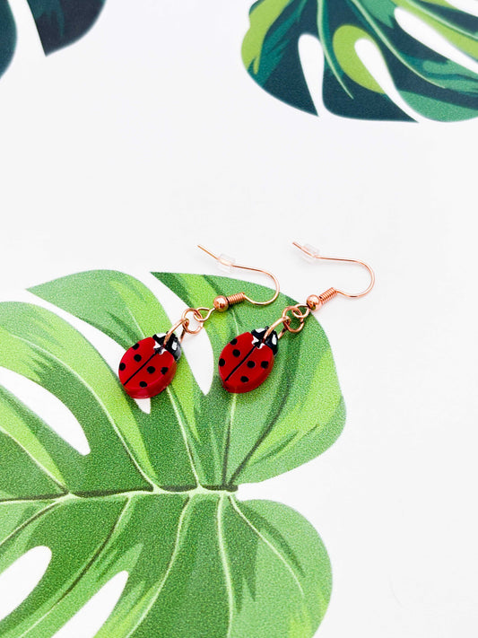 Small Ladybird Acrylic Dangle Earrings or Necklace – Hypoallergenic Stainless Steel