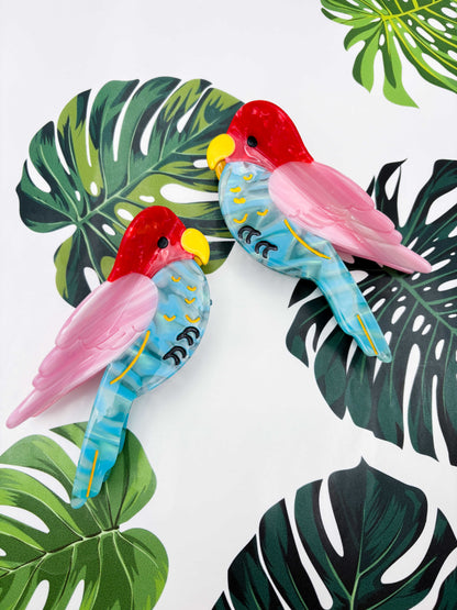 Large Parrot Claw Clip