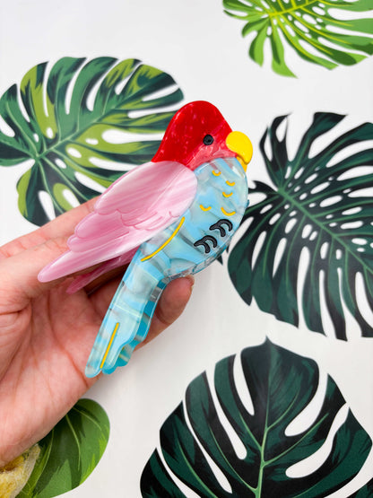 Large Parrot Claw Clip
