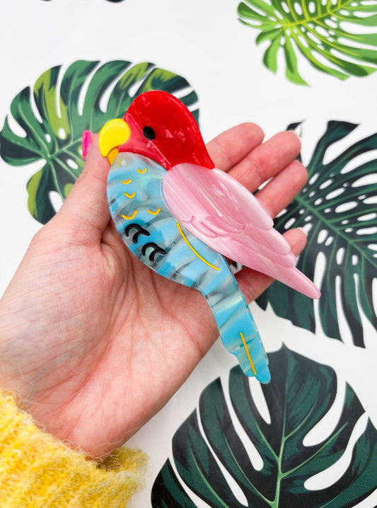 Large Parrot Claw Clip