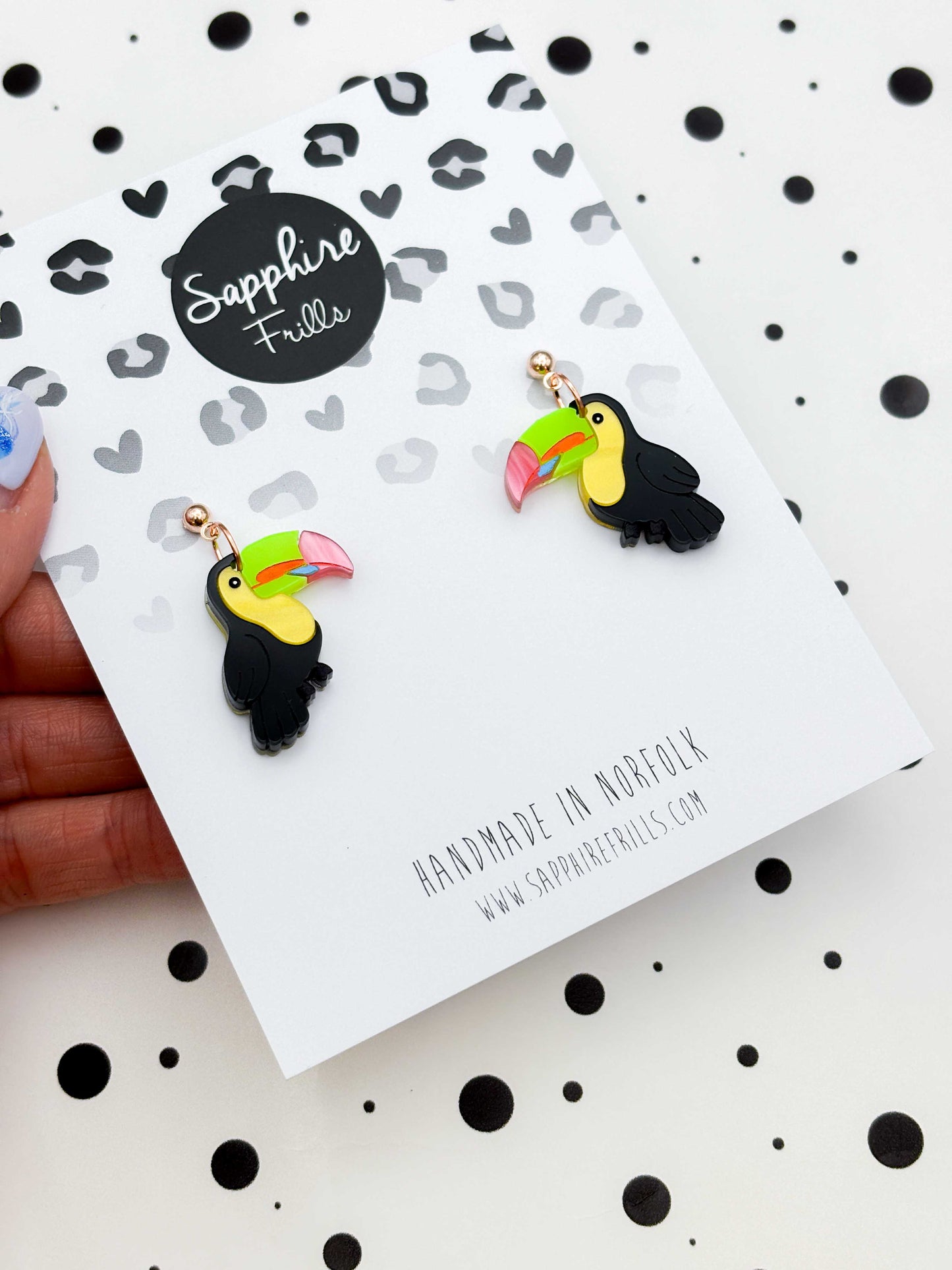Large Black Rainbow Toucan Dangle Earrings
