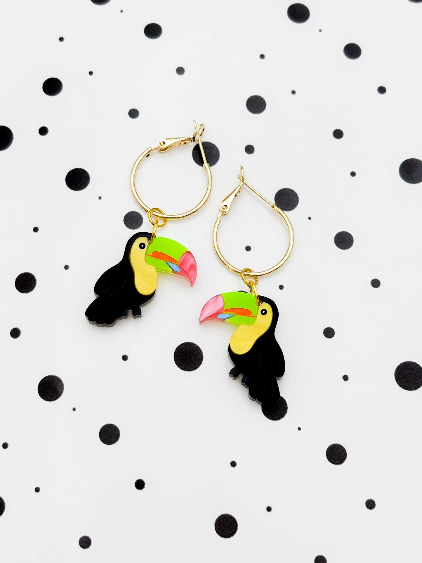 Large Black Rainbow Toucan Dangle Earrings