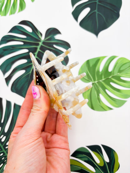 Large Metallic Beige and White Conch Shell Claw Clip