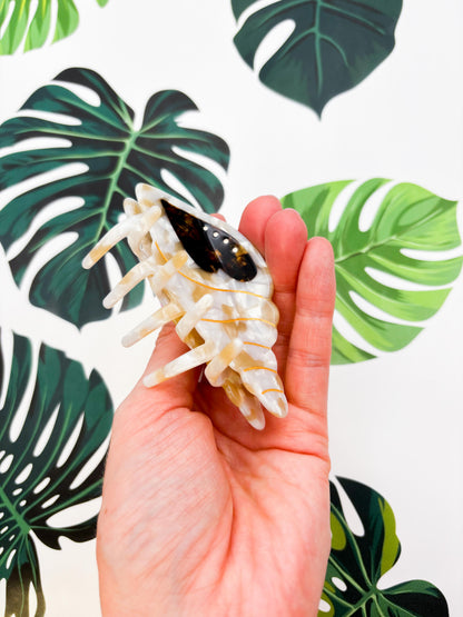 Large Metallic Beige and White Conch Shell Claw Clip