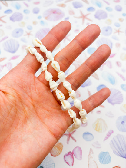 Ivory Conch Shell Glasses Chain