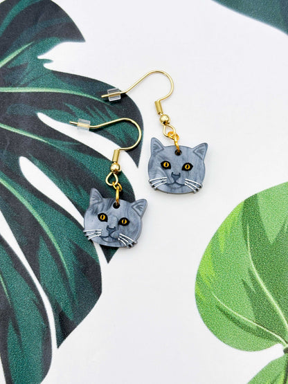 Small British Blue Shorthair Cat Dangle Earrings or Necklace – Hypoallergenic Stainless Steel