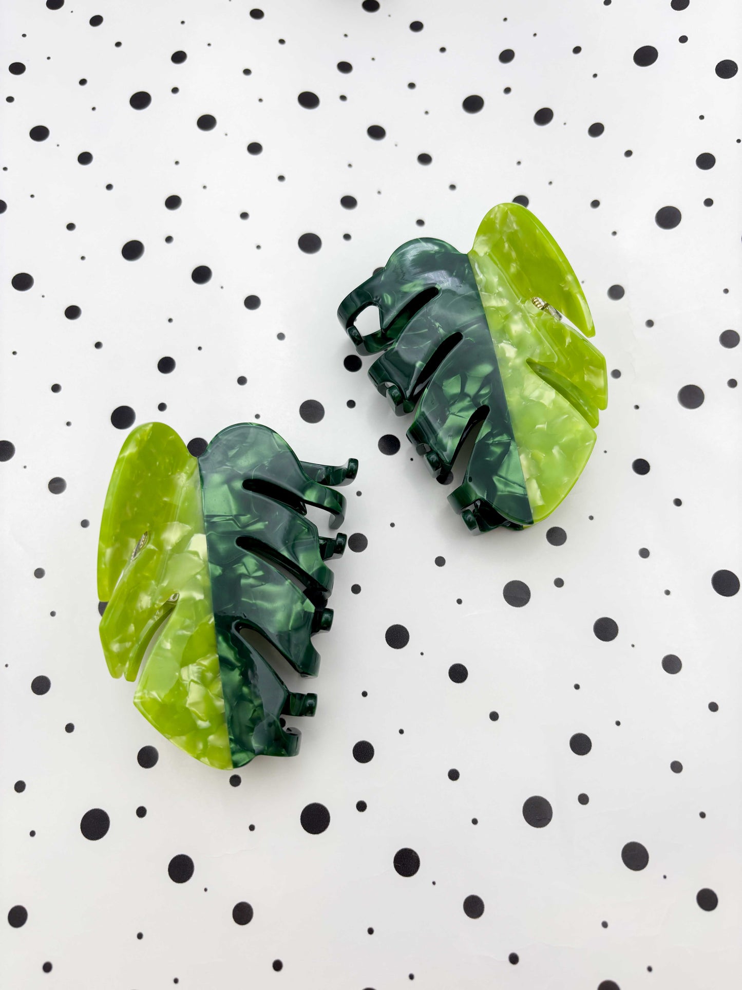 Medium Striped Green Monstera Leaf Claw Clip
